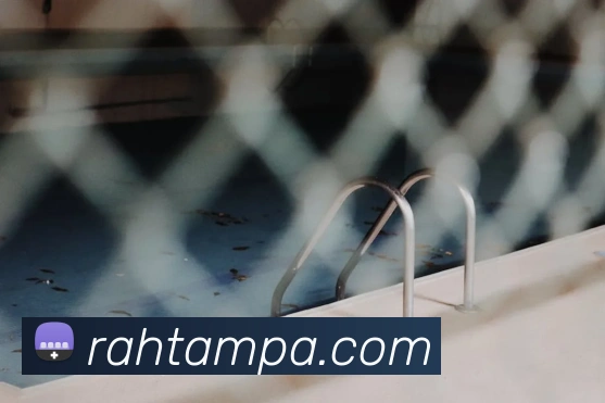 多媒体互动体验